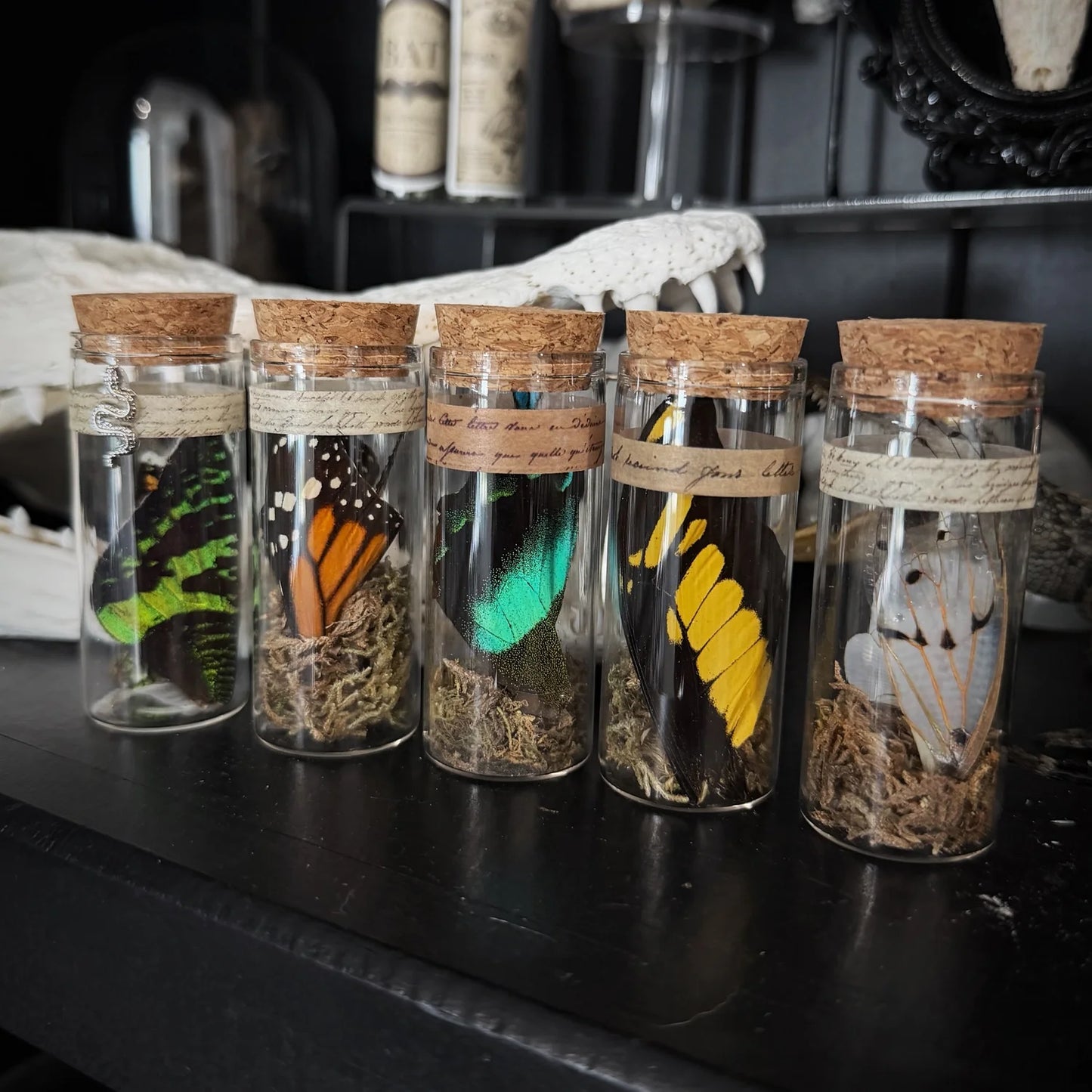 Mystery Wing Jar