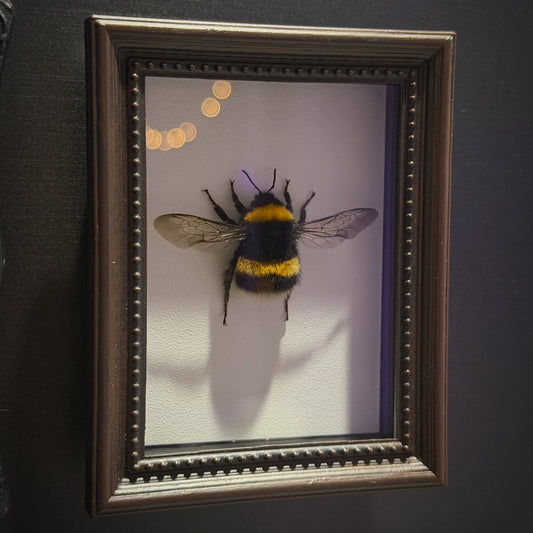 Queen Bumble-Bee Magnet