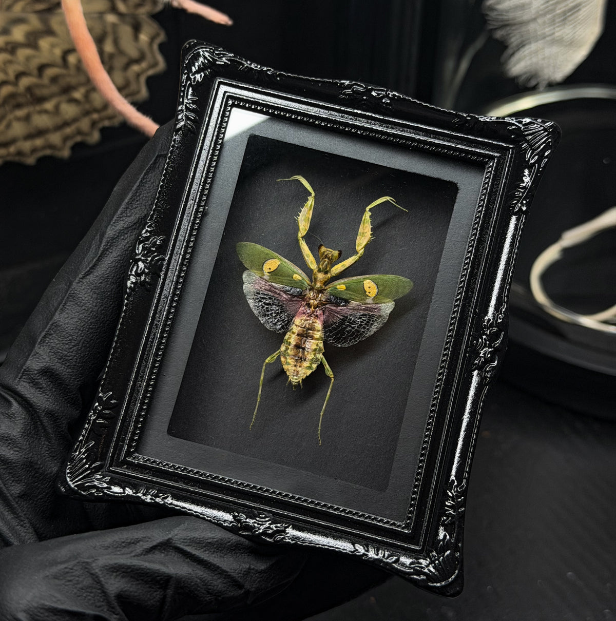 Flower Mantis Mini Magnet/Stand