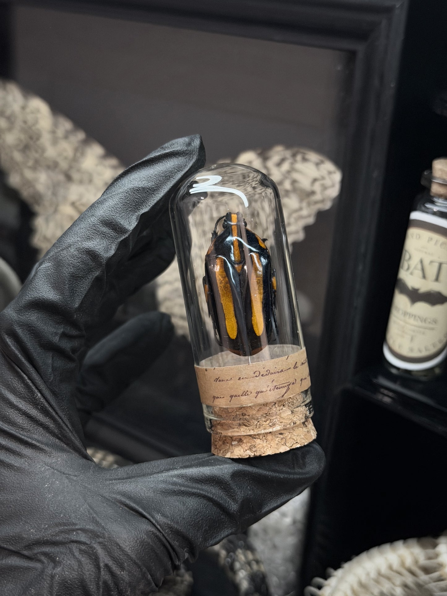 Tiger-Beetle Vial