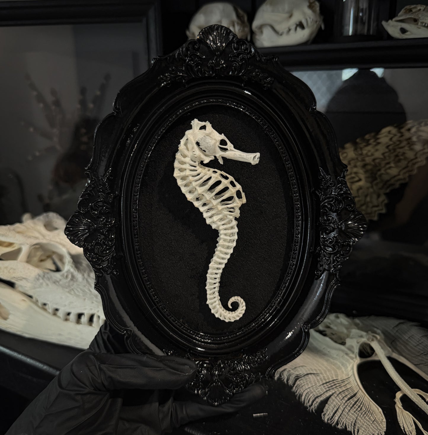 Large SeaHorse Frame