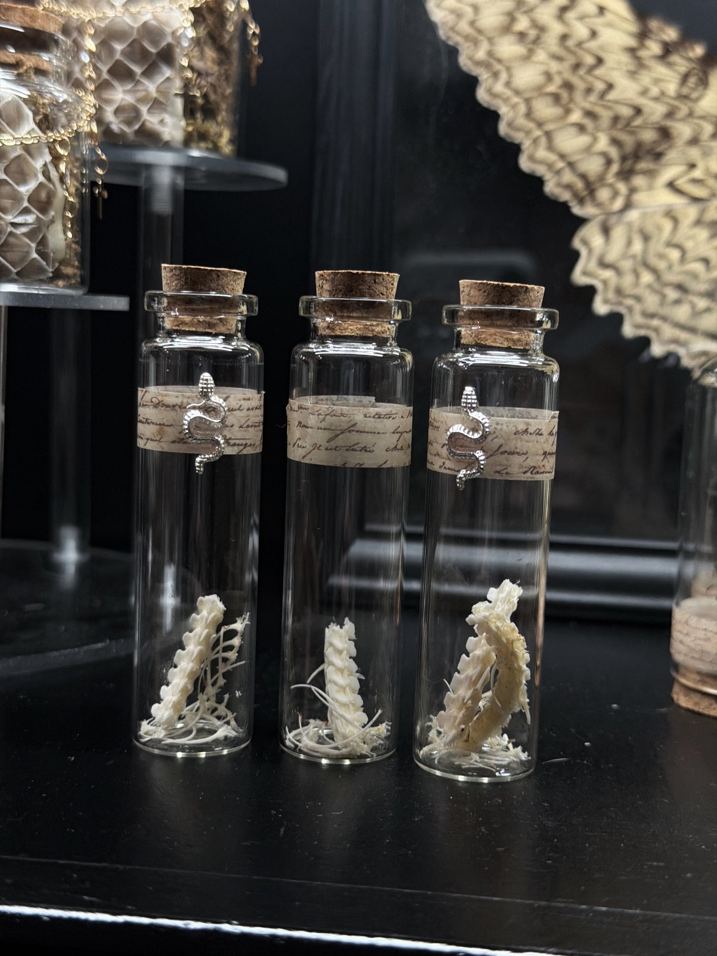 Viper Snake Spine Vials