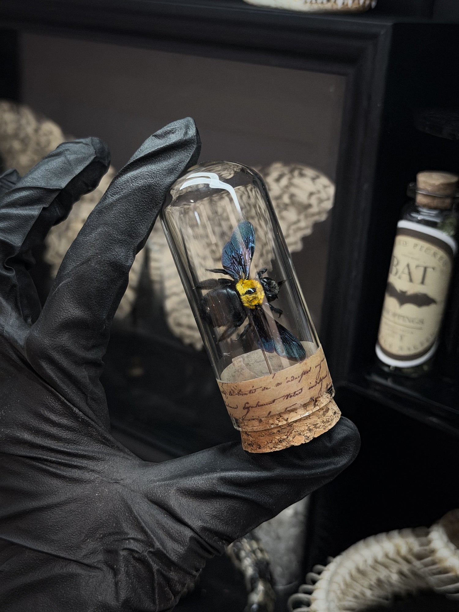Beetle Vials