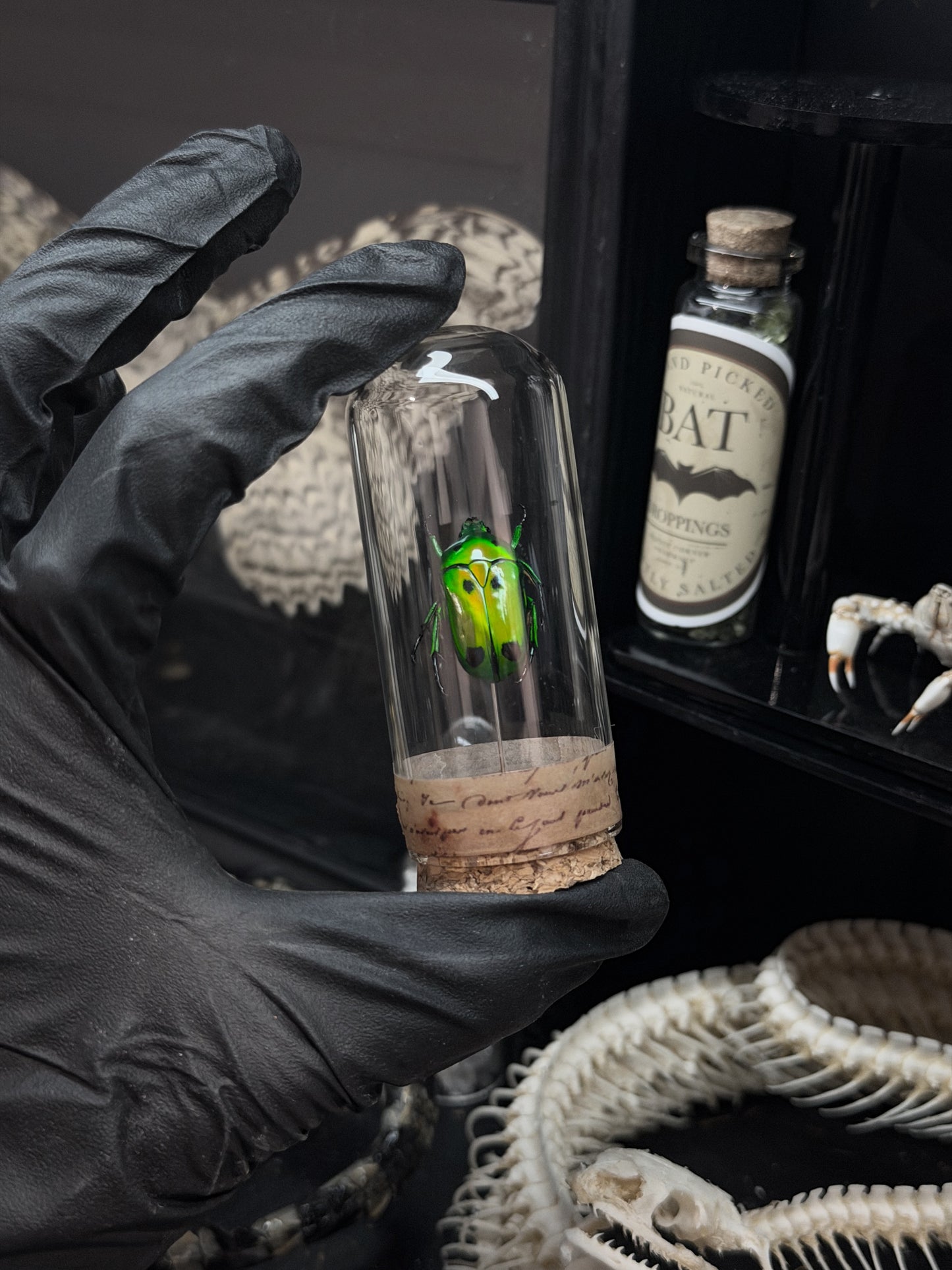 Green Beetle Vial