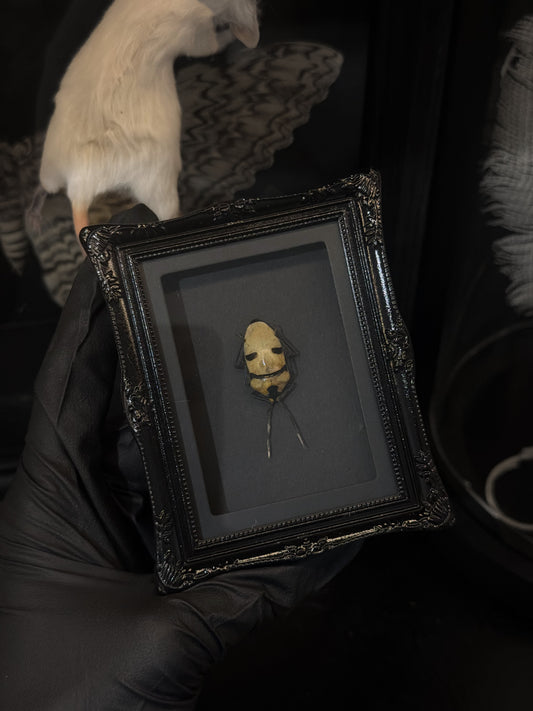Ghost Face Mini Magnet/Stand