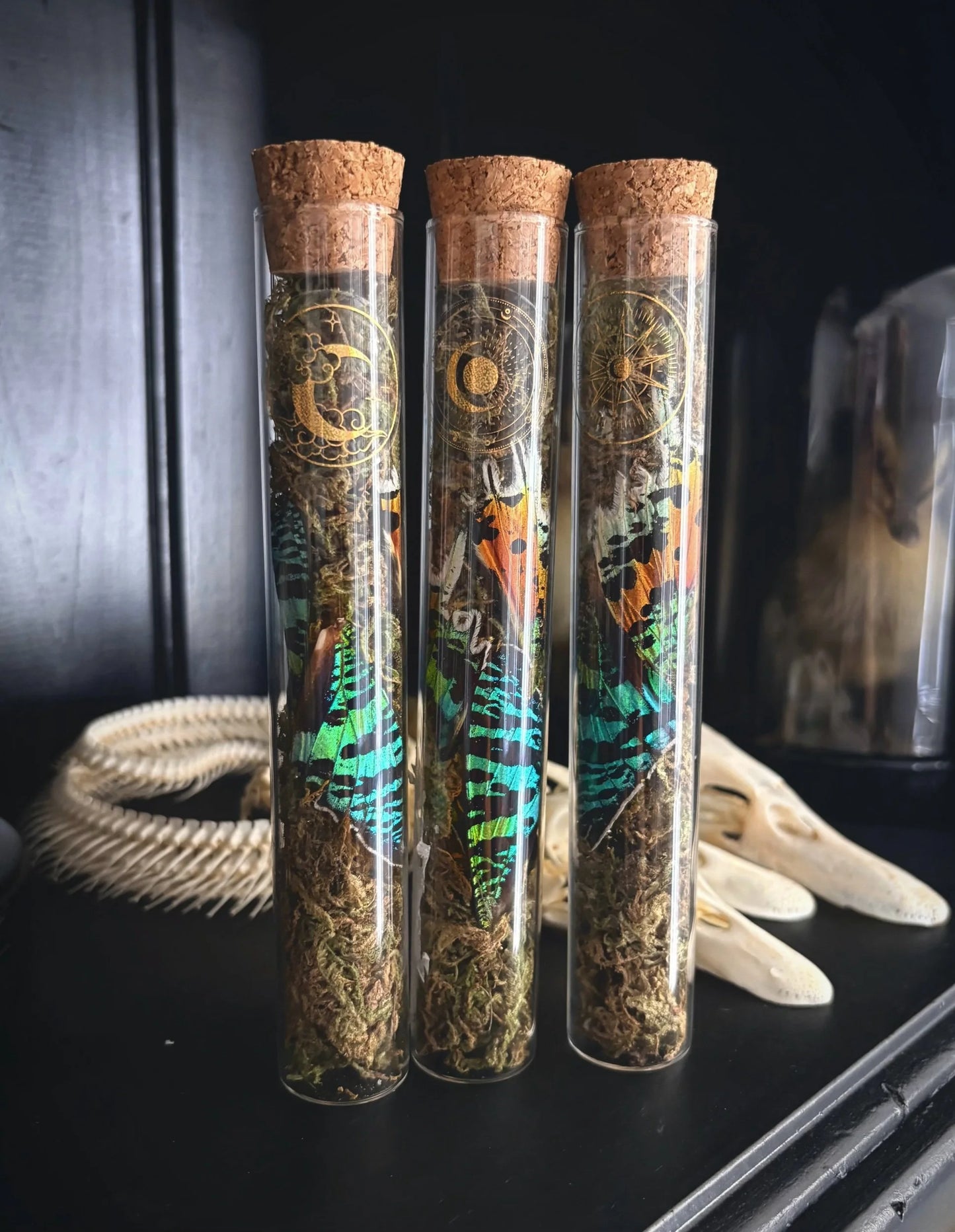 XL Sunset Moth mossy vial