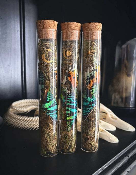 XL Sunset Moth mossy vial