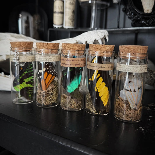 Mystery Wing Jar