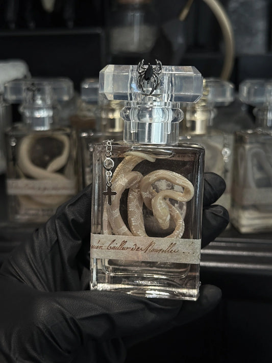 Vintage Style Wet Snake Specimen (#1)