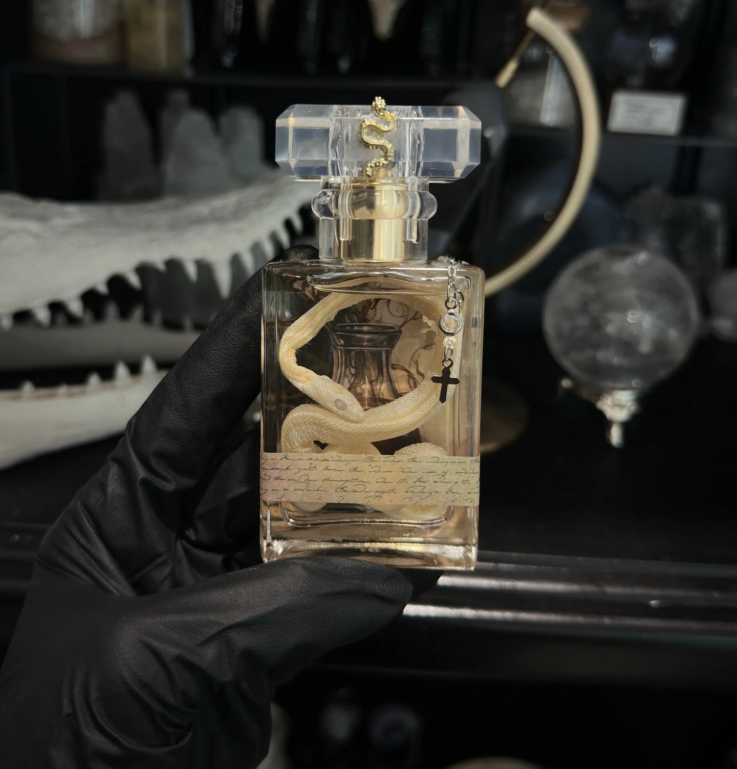 Vintage Style Wet Snake Specimen (#4)