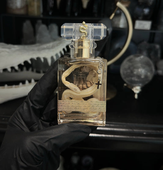 Vintage Style Wet Snake Specimen (#4)