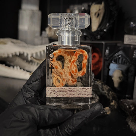 Snake Specimen #19