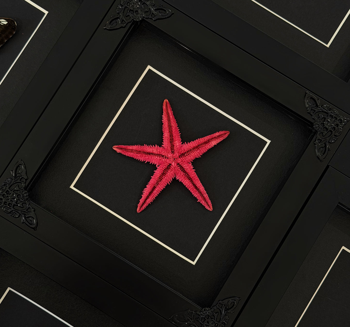 Patrick Star