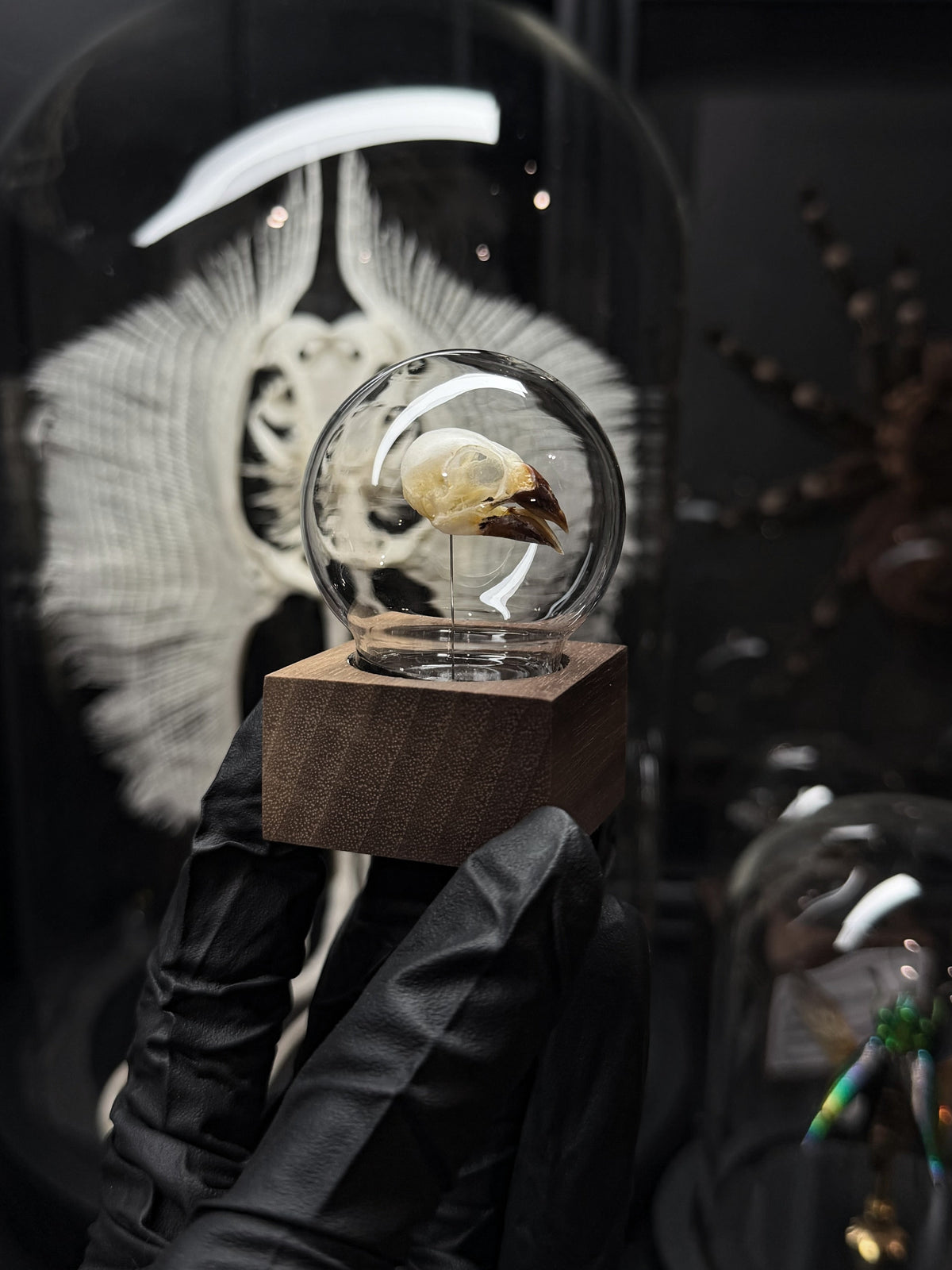 Tweety Bird Bubble
