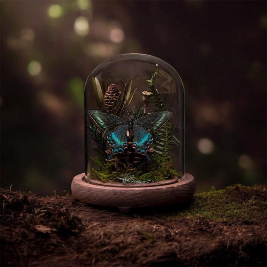 Butterfly Dome
