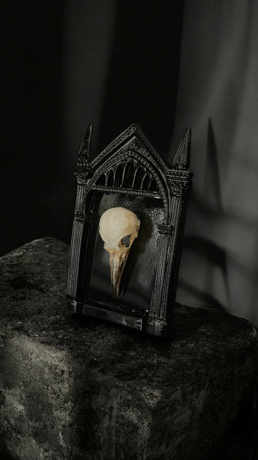 Bird Skull Frame