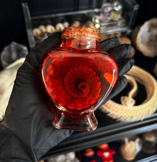 Octopus Tentacle Glass Jar