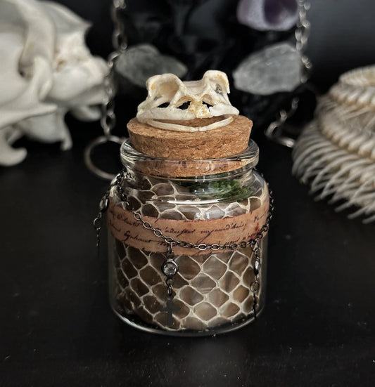 Frog Skull + Snake Skin Jar