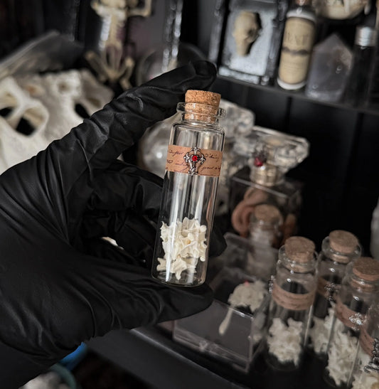 Snake Vertebrae Jar (Gothic Red)