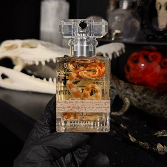 Snake Specimen #17