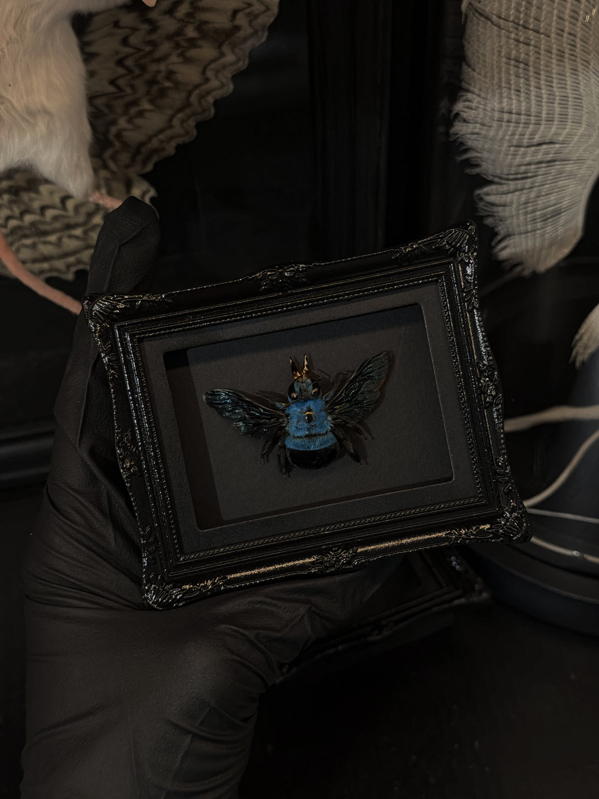 Blue Carpenter Bee Mini Magnet/Stand