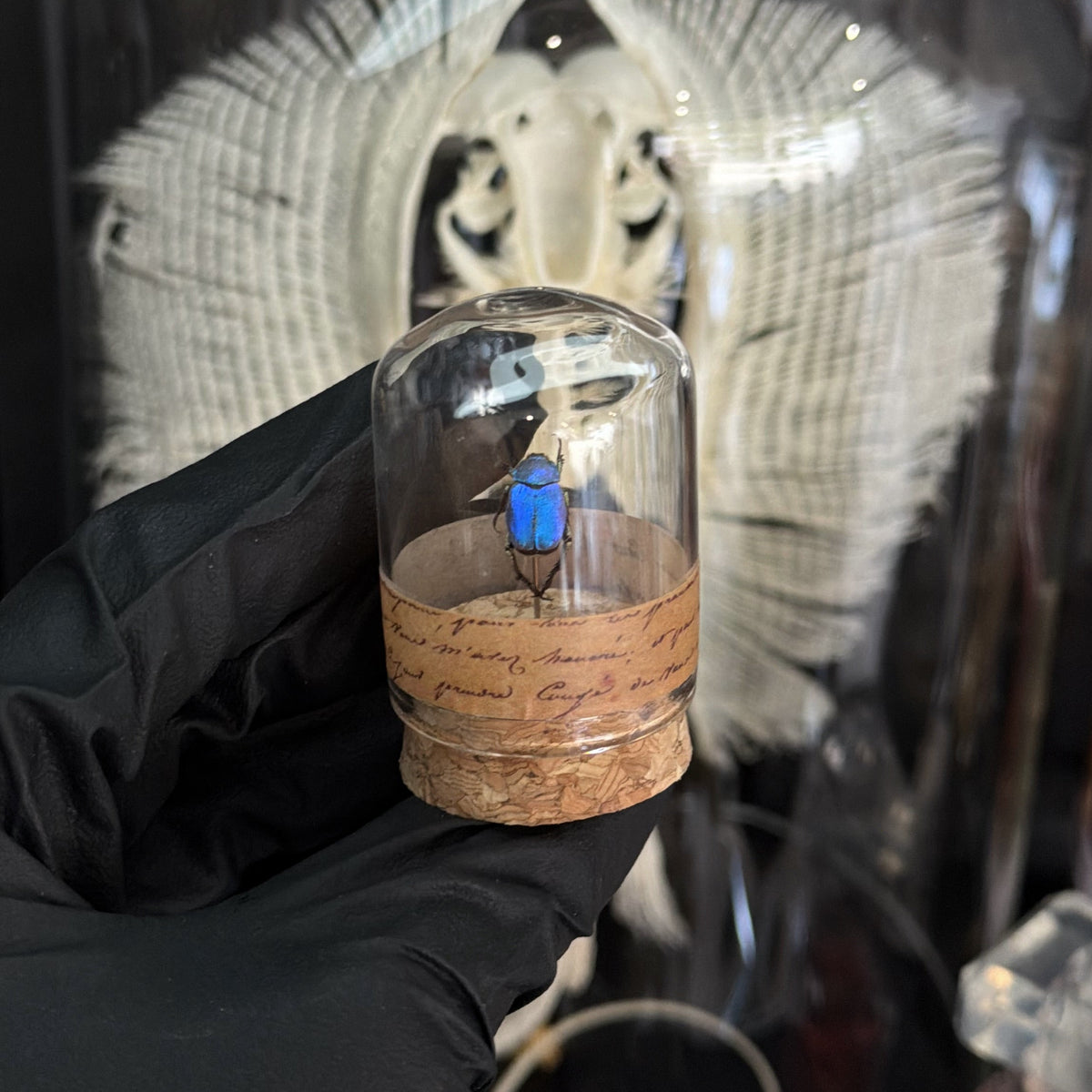 RARE baby blue vial