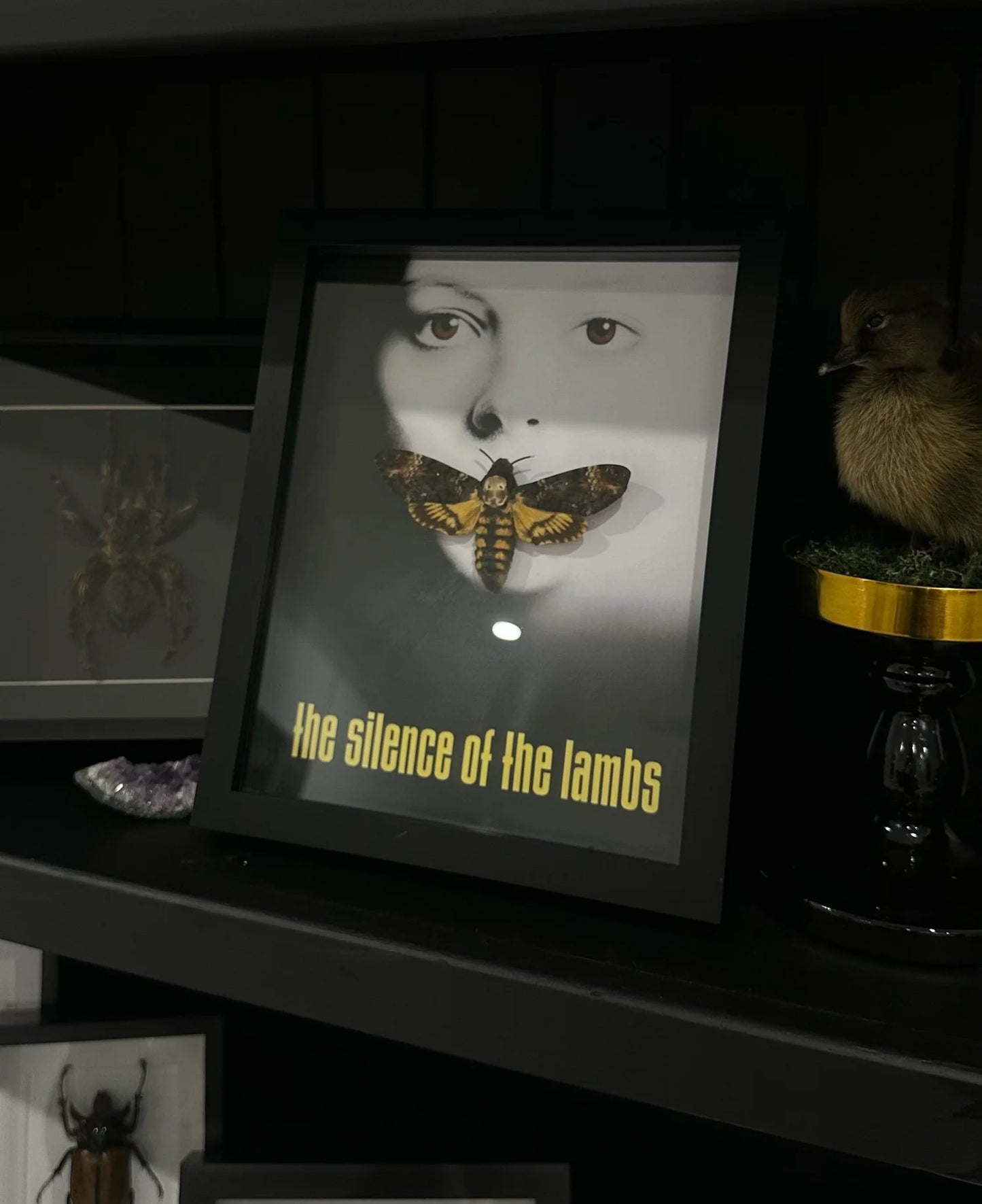 The Silence of the lambs Death-Head Moth