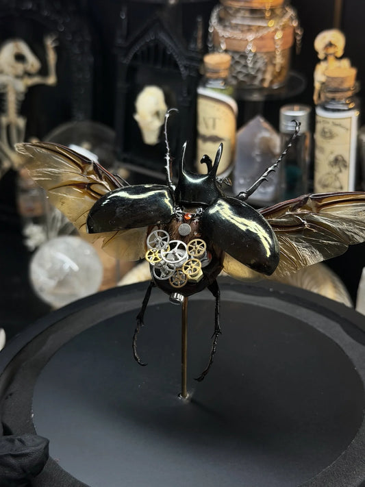 Cyberpunk Inspired Spread Beetle Dome