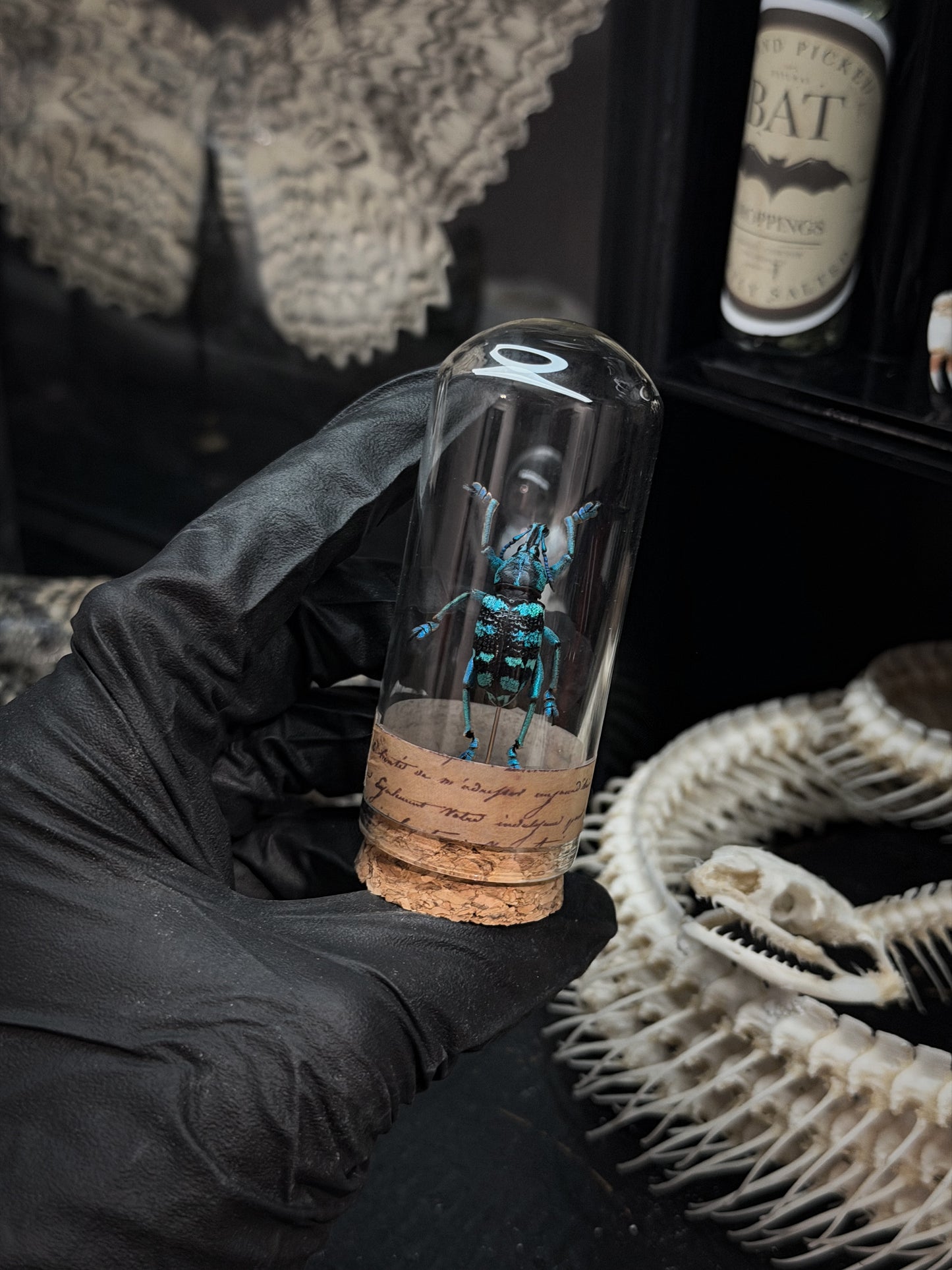 Blue Weevil Vial