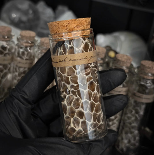 Snake Skin Jar (Large)