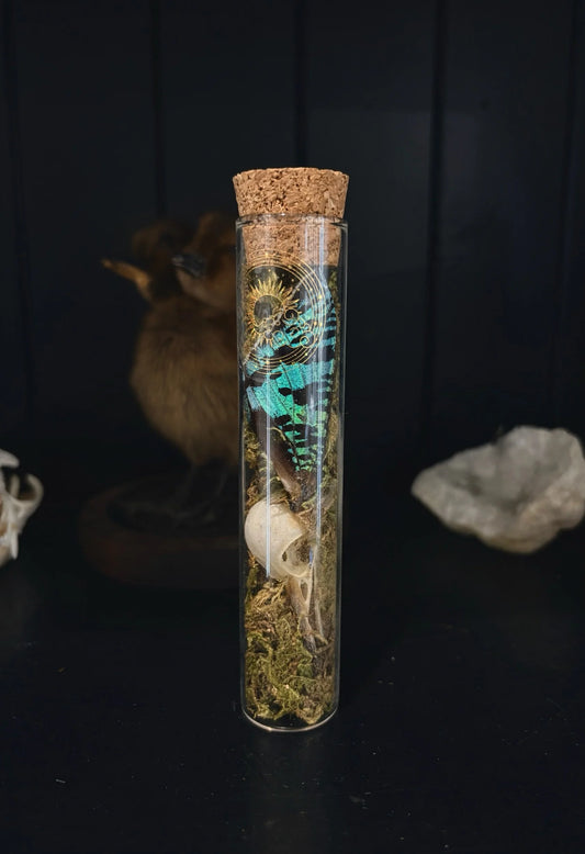 Bird Skull Mossy Vial