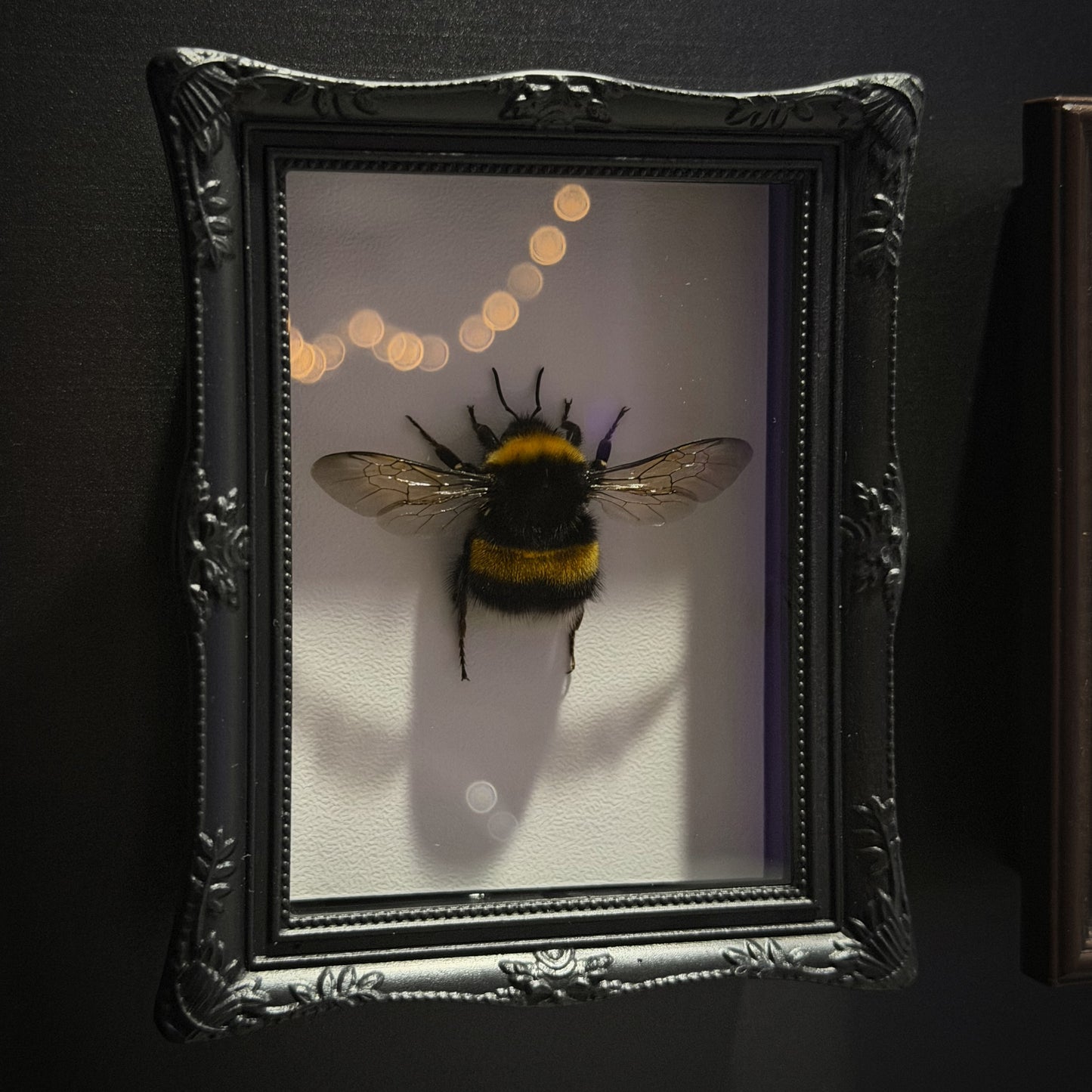 Queen Bumble-Bee Magnet