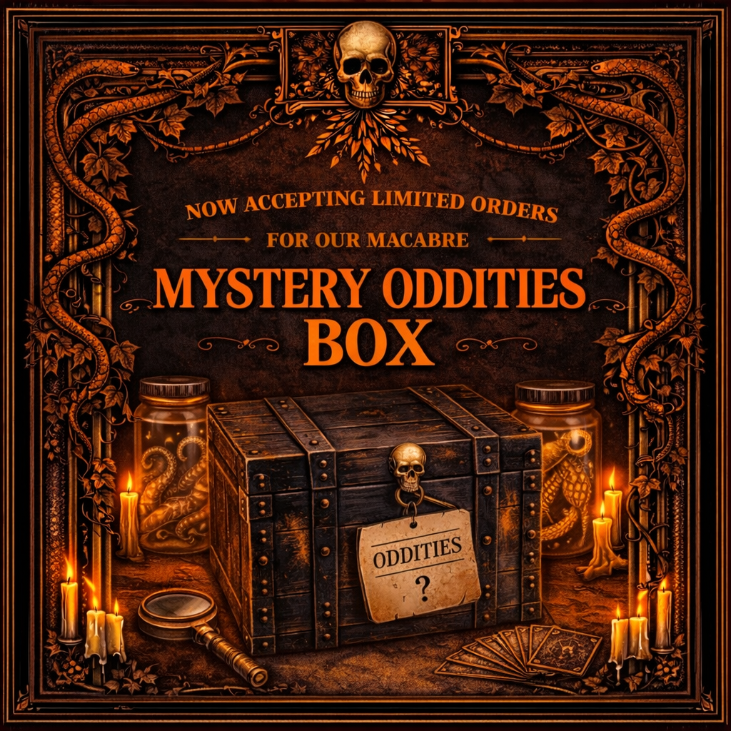 Lepidora Entomology mystery box featuring assorted insect specimens and educational materials for entomology enthusiasts.